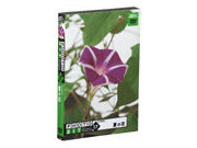 グラパックジャパン フォトビット Vol.17 夏の花 グラパックジャパン フォトビット Vol.17 夏の花