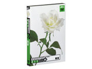 グラパックジャパン フォトビット Vol.20 薔薇 グラパックジャパン フォトビット Vol.20 薔薇